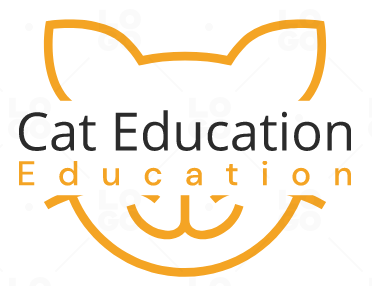 Cat Education Limited